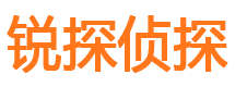 崇川市私家侦探